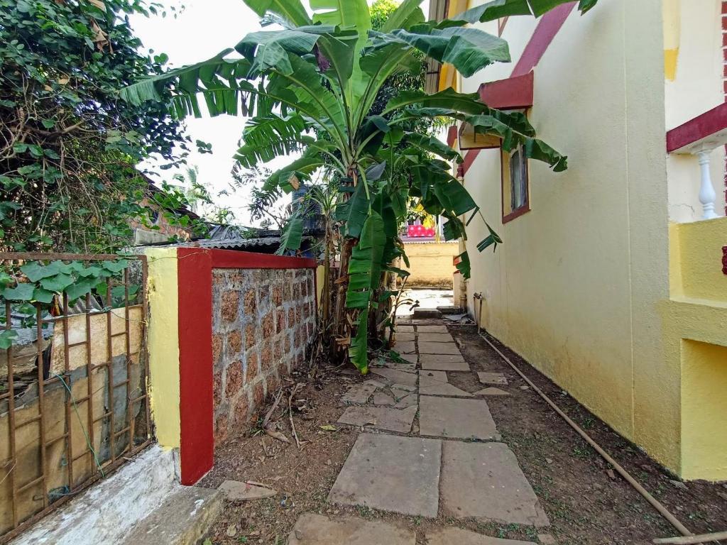 Sea View Resorts photo
