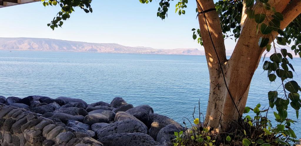 Tiberias