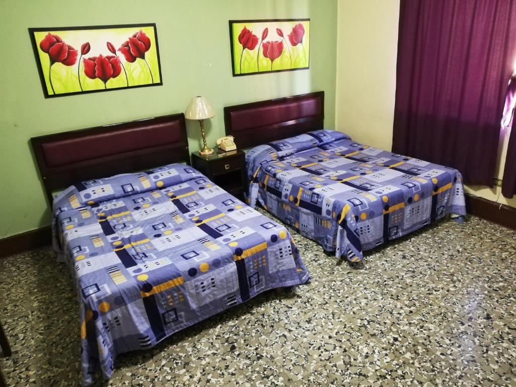 Hotel De Gante photo