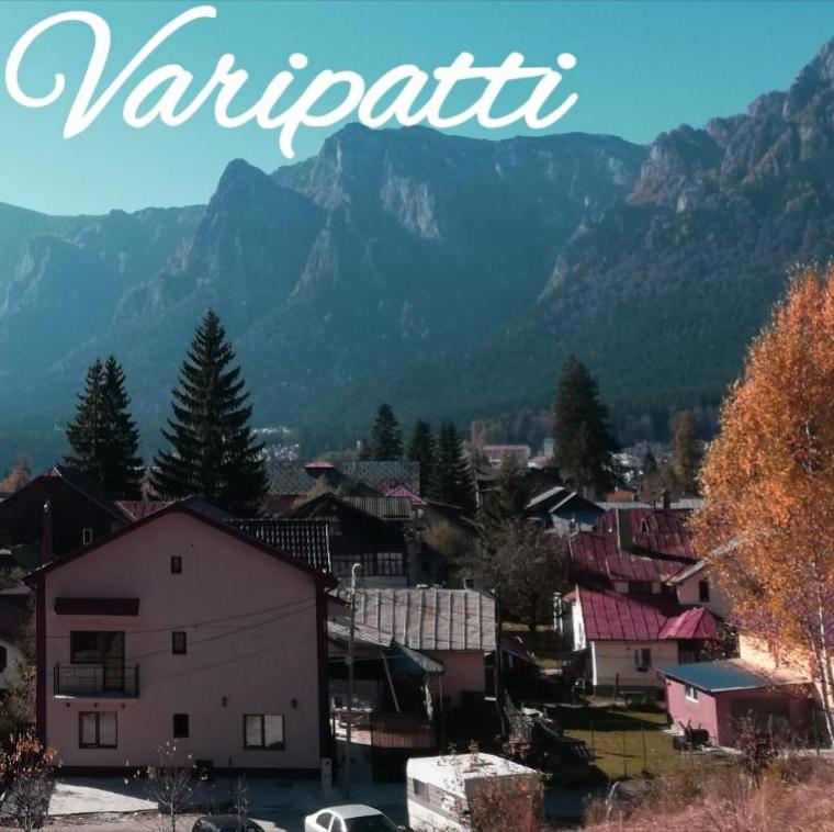 Casa Varipatti — Hotel in Busteni