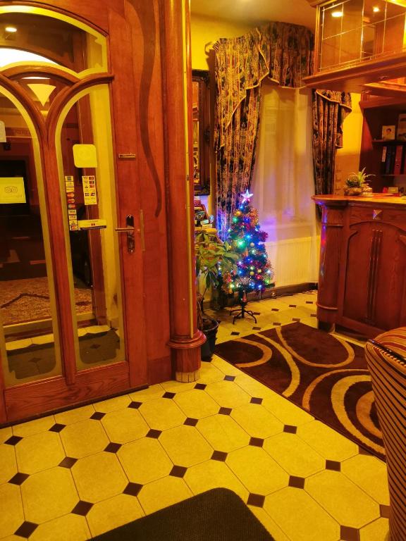 Hotel Vladar photo