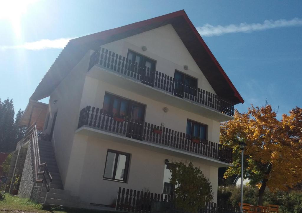 Apartments Beka photo