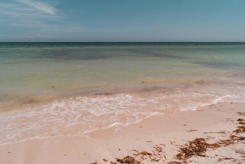 Luxury Condo, the hidden gem Playa Chaca. Live it! photo
