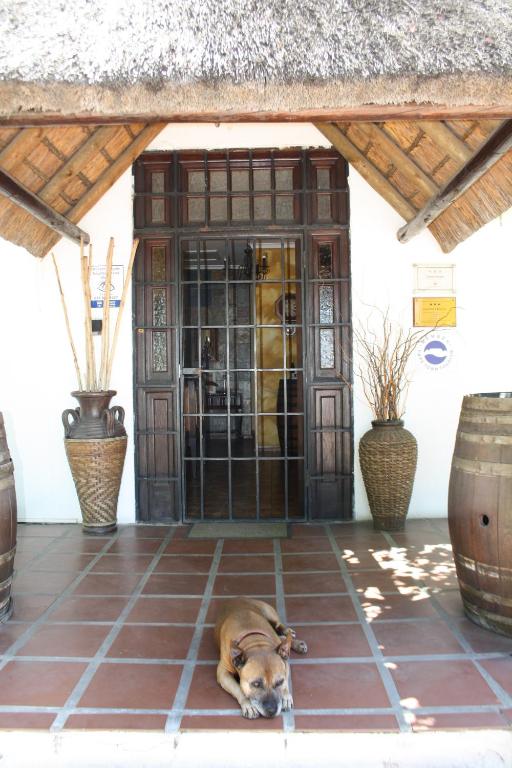The Vinelands on Alpha Guest House photo