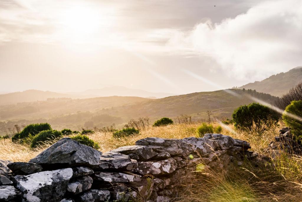 Sports and activities