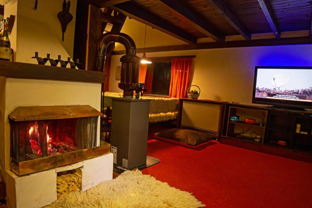 Winter chalet Anzulovic - 2