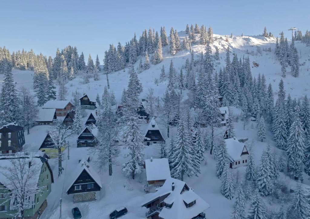 Winter chalet Anzulovic - 4