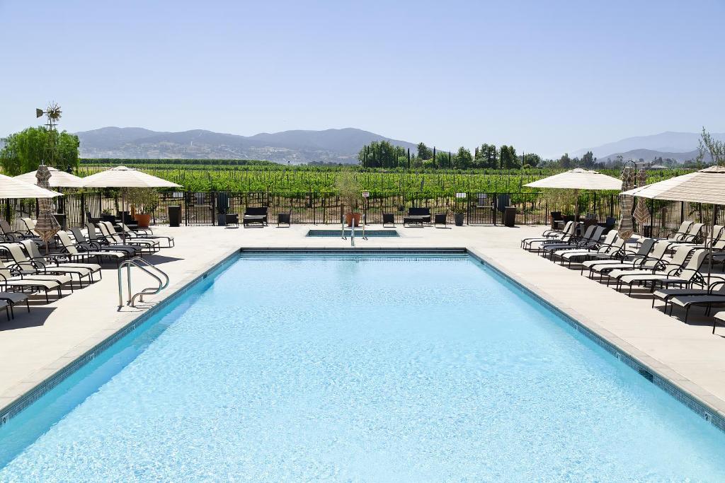Ponte Vineyard Inn photo