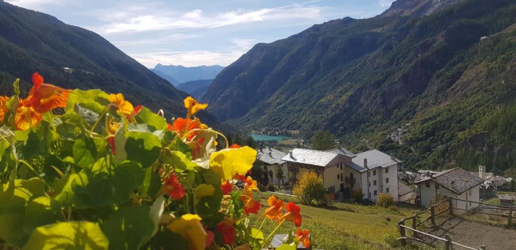 Casa Lo Tzé Alpine Apartments Near Ski Slopes With Parking - 5