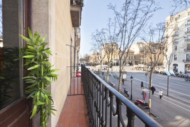 Paseo de Gracia Apartments photo