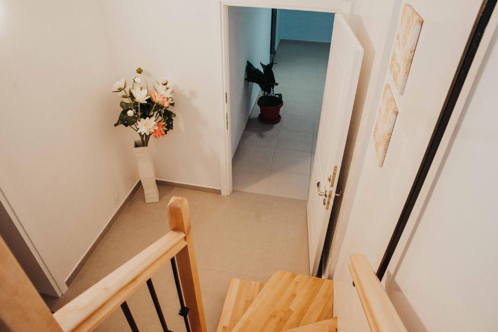 Shkodra apartment with amazing view in the city center photo