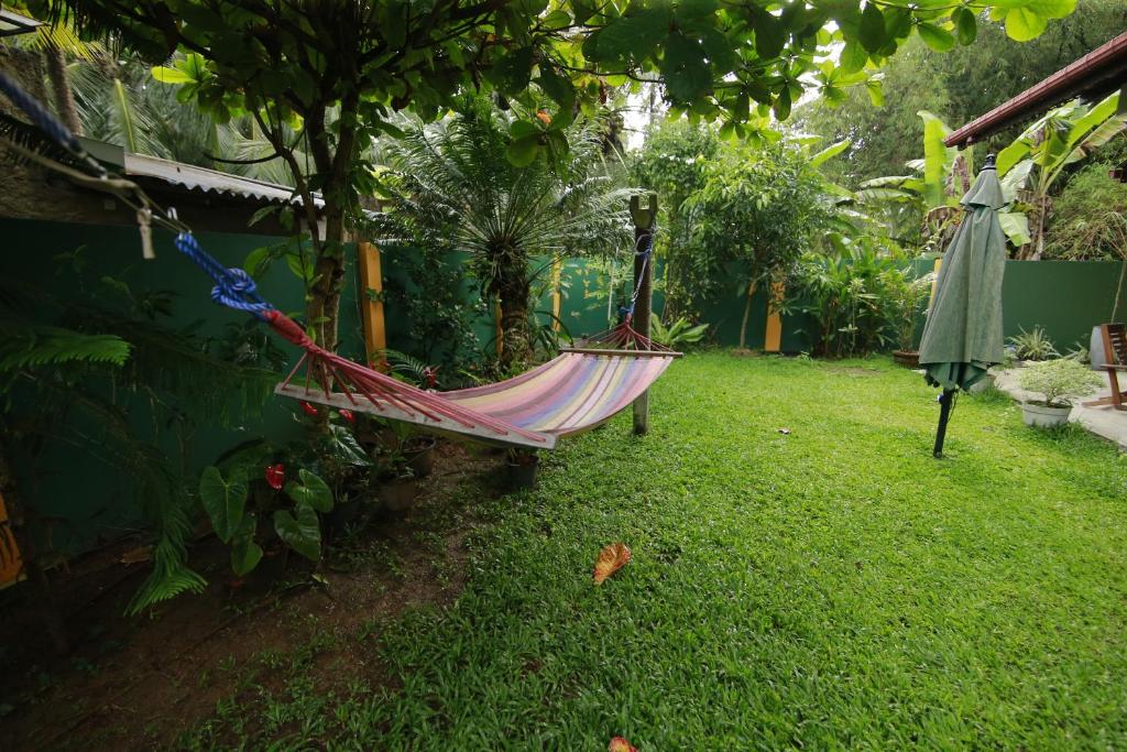 Mary's Palm Garden photo