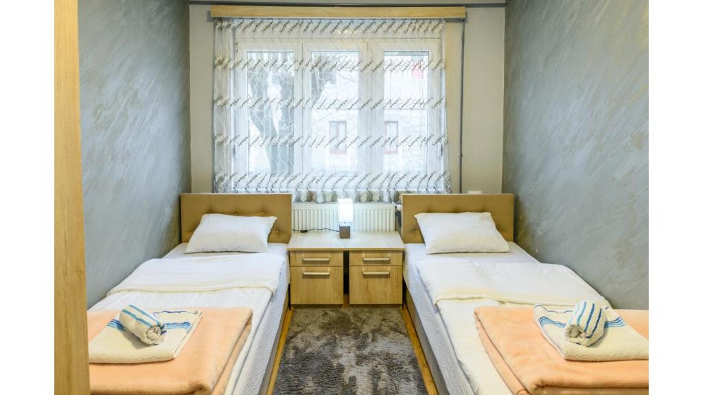Vujisić Apartment in the City Center - 3