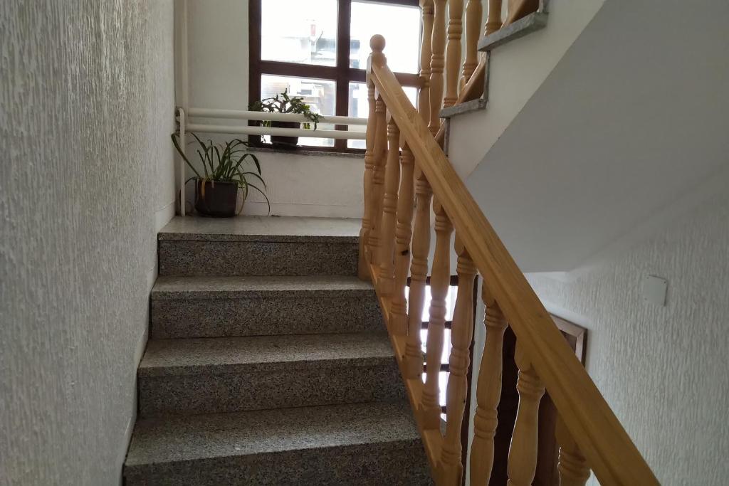 Apartments and Rooms Vicko photo