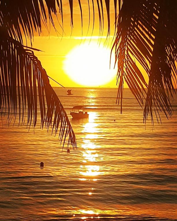 Sunshine Suite photo