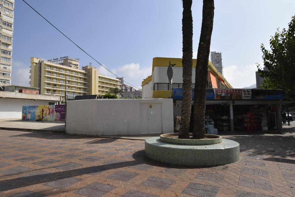 COMERCIAL LEPANTO - FINCAS ARENA - 5