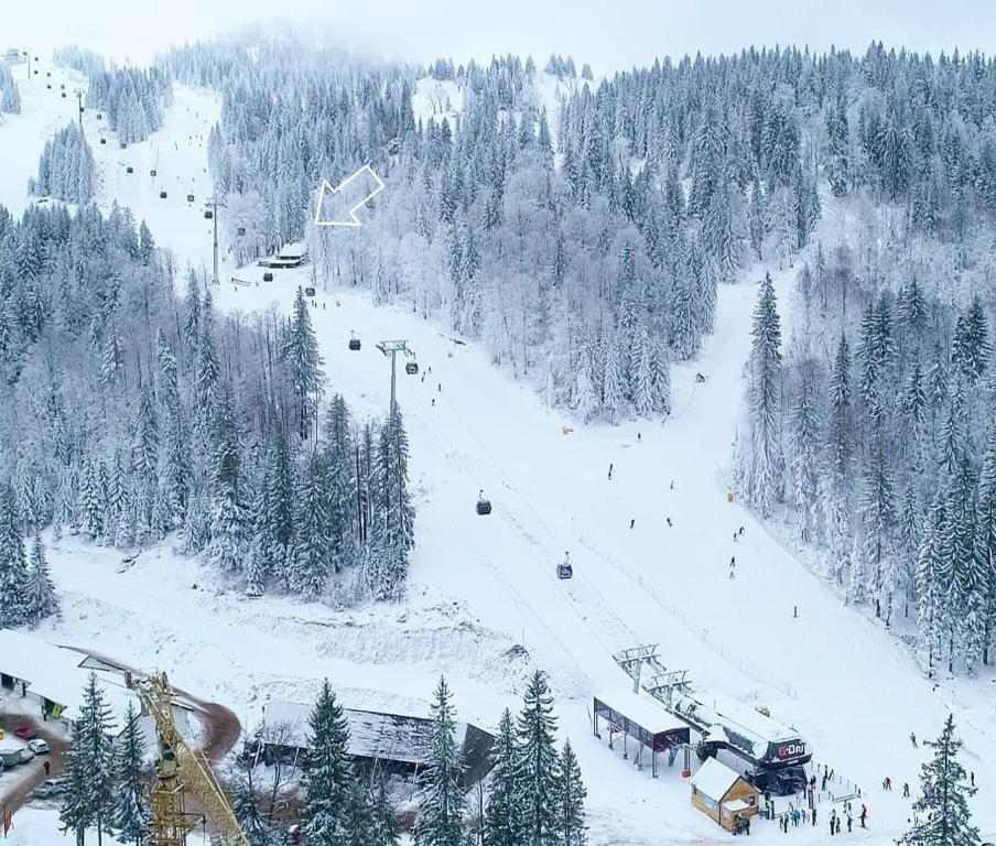 Guest house Sladjana, Jahorina