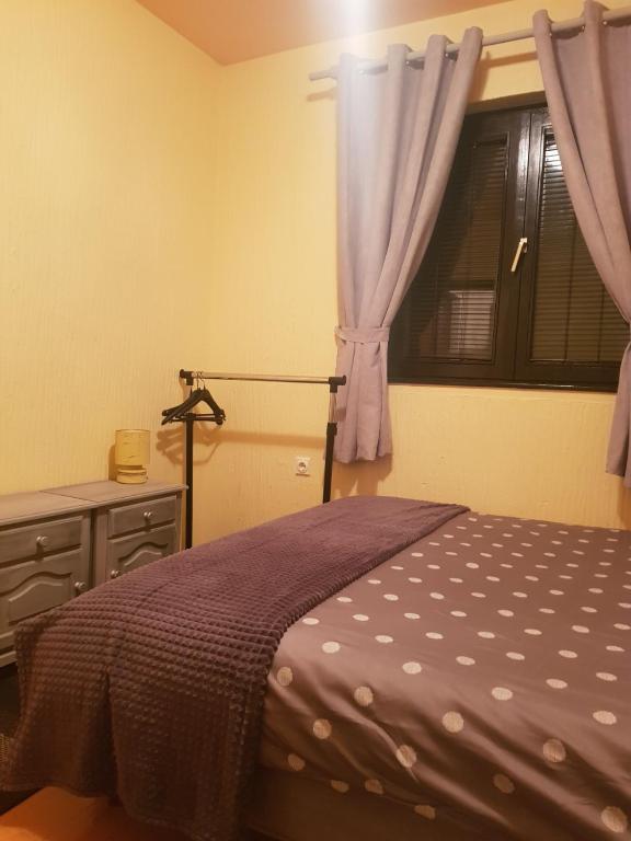 Apartment Vila Olga photo