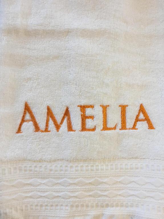 Amelia Villarrica - 3