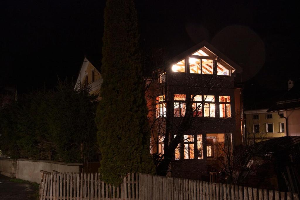 Ledererhaus - 5