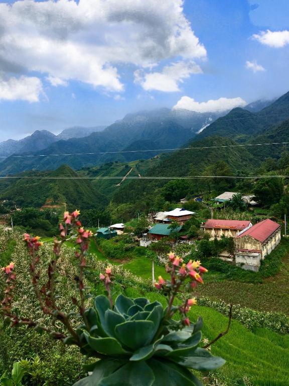 Peace House — Hotel in Sapa