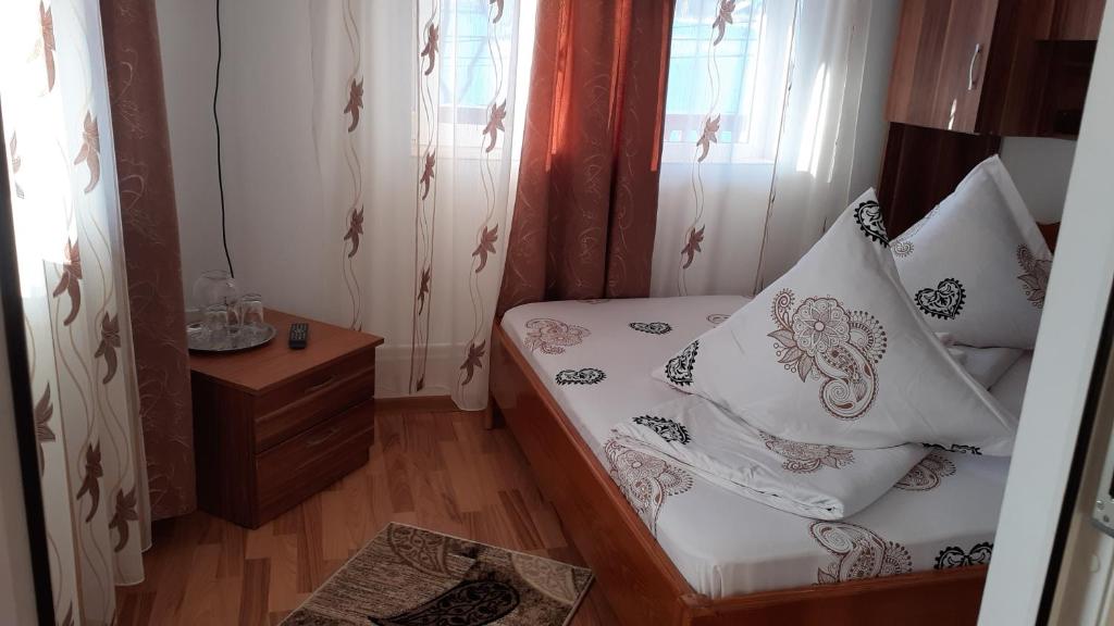 Casa Nicoleta — Hotel in Gura Humorului