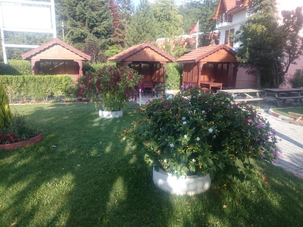 Mekan Ilica Apart Otel