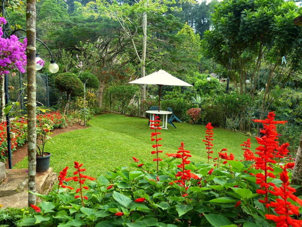 Casa Blanco Kandy photo