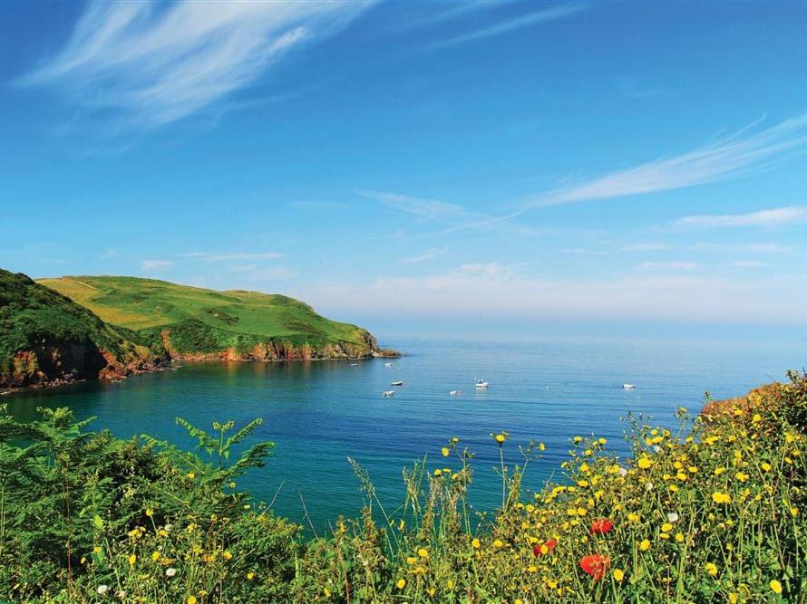 Greystone, Hope Cove photo 8
