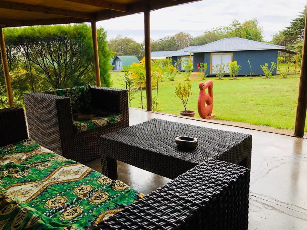 Rangi Moana photo