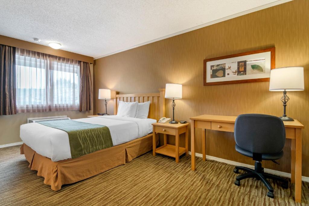 Comfort Inn & Suites Photo 1