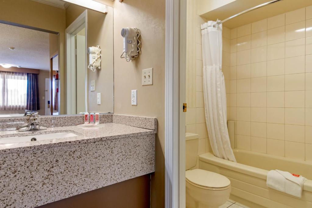Comfort Inn & Suites Photo 3