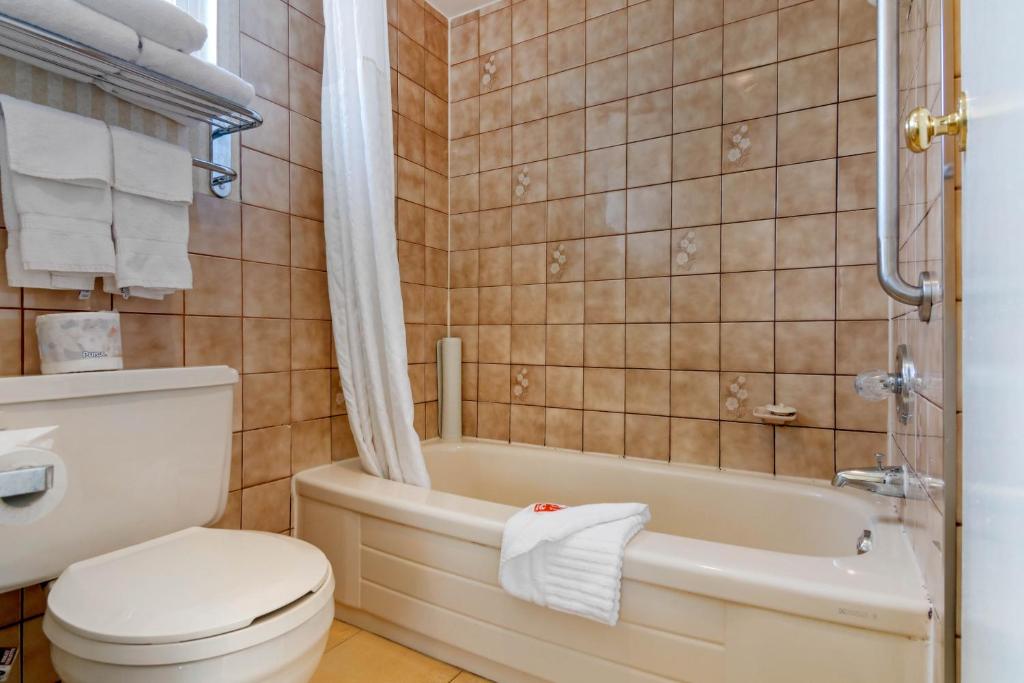 Comfort Inn & Suites Photo 4