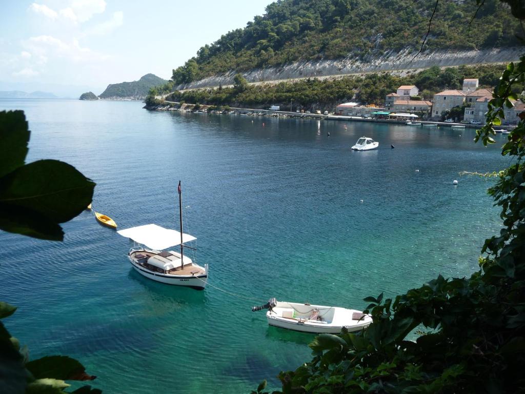 Apartments Anica — Hotel in Mljet