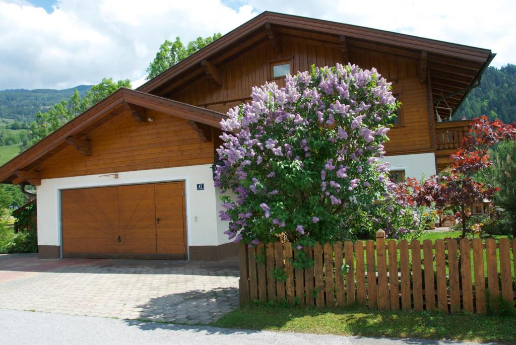 Haus Margit - 5