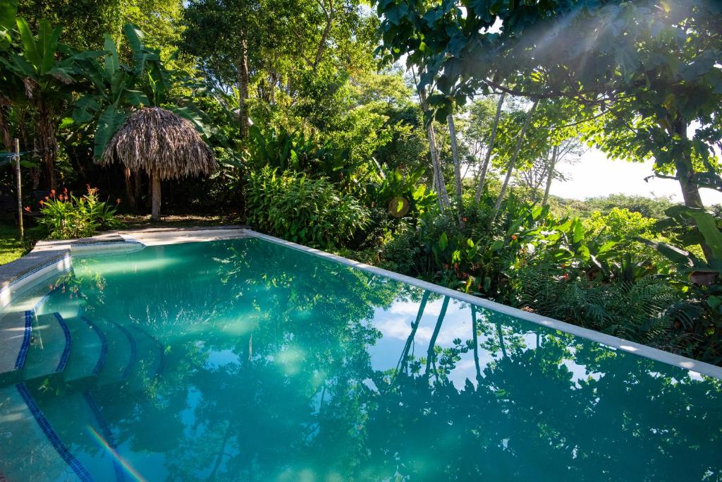 Jungle Lodge at Wild Sun Rescue Center photo