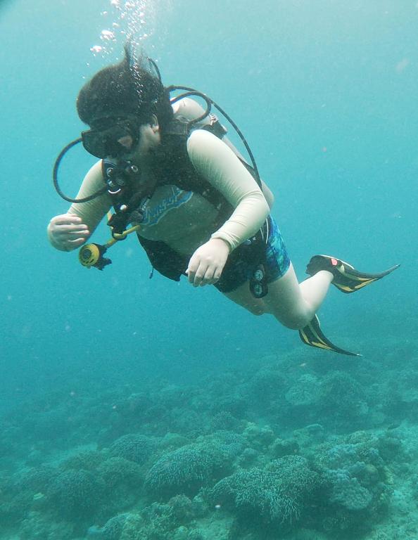 アクティビティ