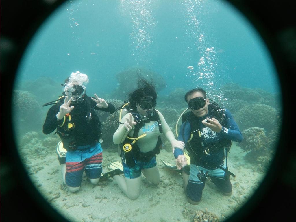 アクティビティ