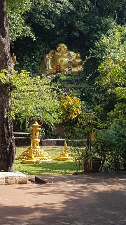 Surrounding environment