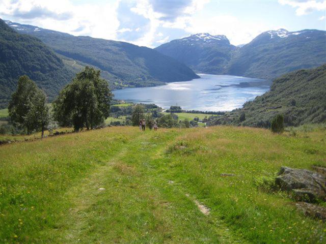 Seim Camping - Røldal photo