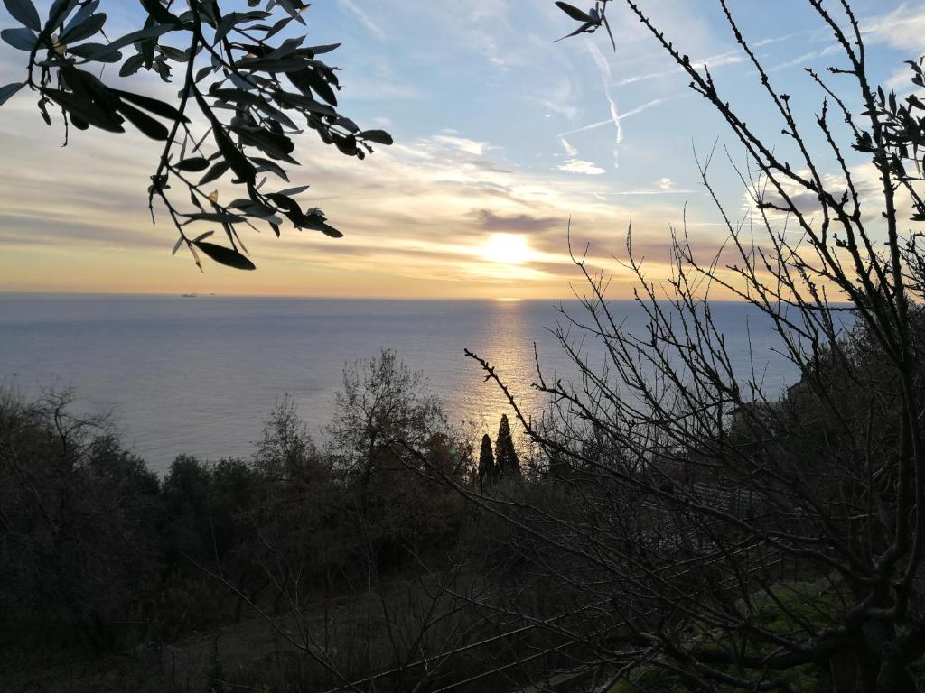 Villa Gio - Terrazza nel Blu photo