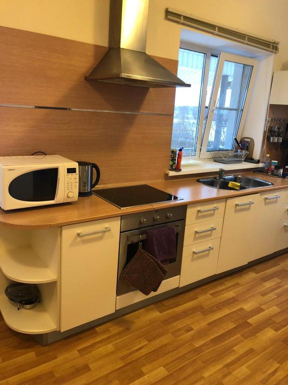 Holiday Home N2 Ruza village 전경