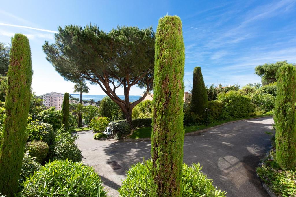 Cozy studio with sea view, swimming pool and greenery - 3