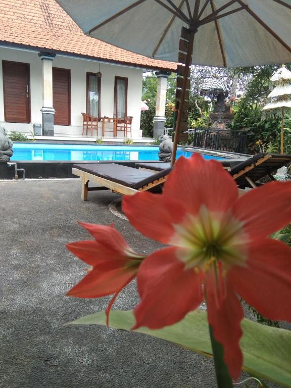 SunWuKong Guest House photo