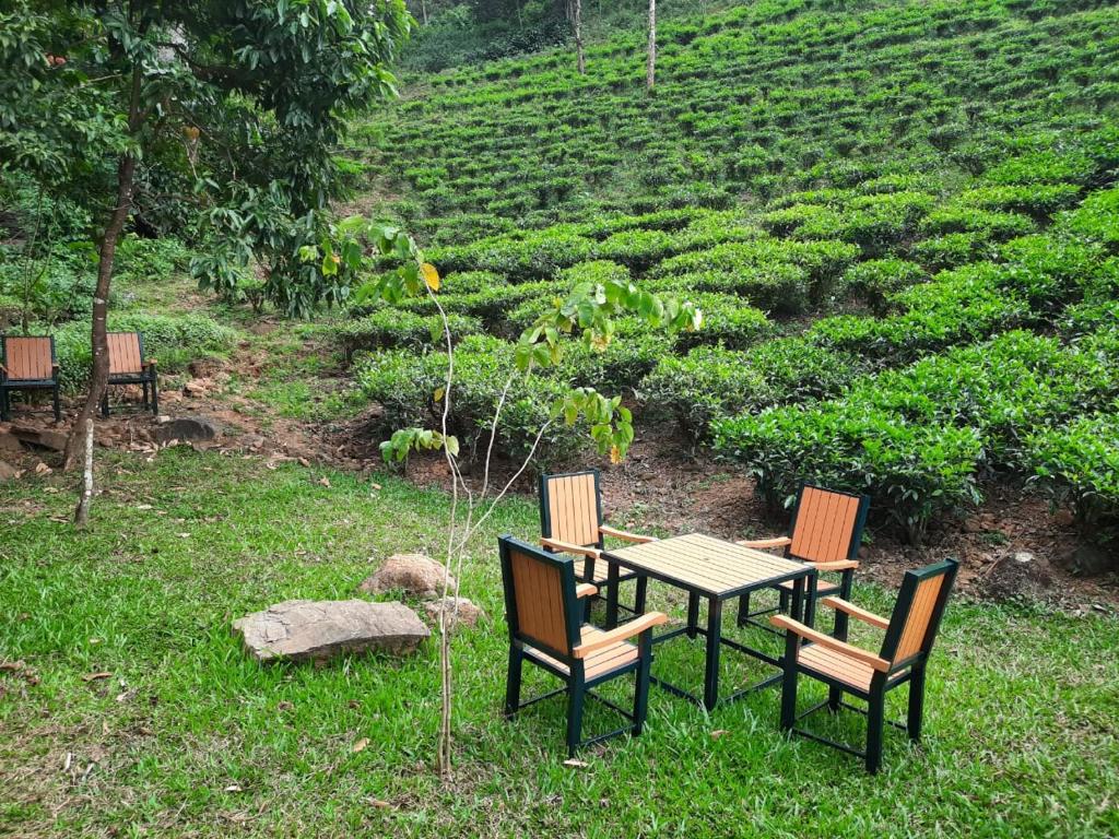 Tea Trees Service Villas photo