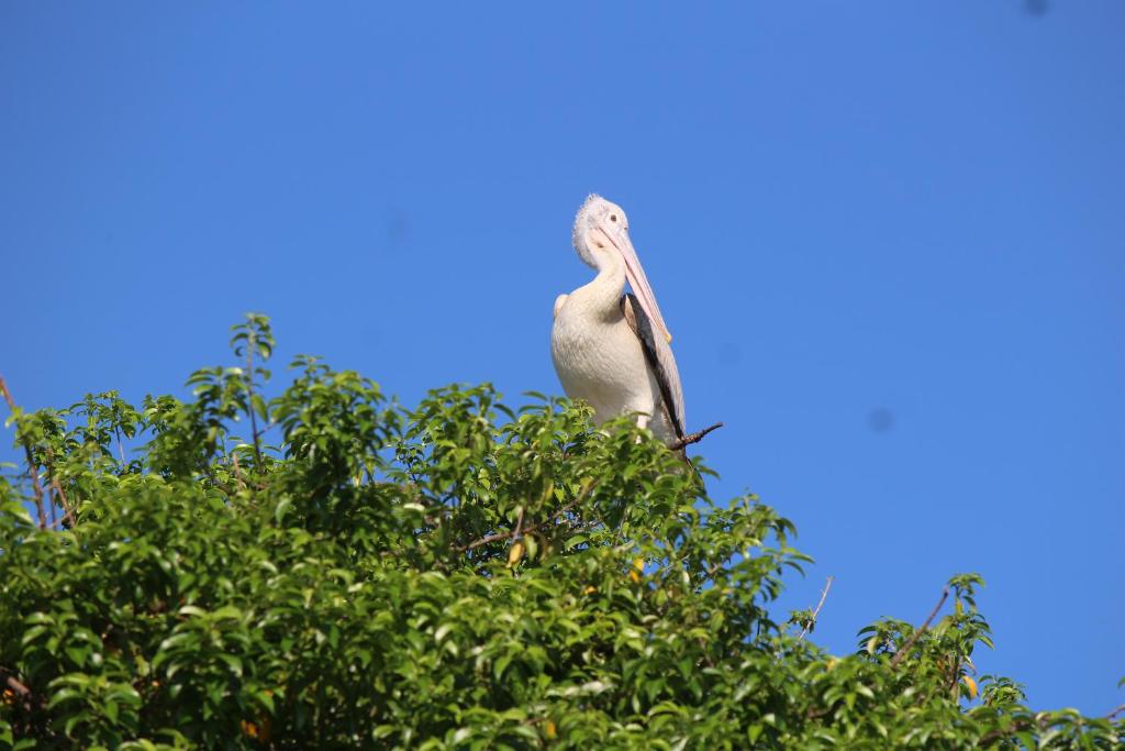 Nearby attraction