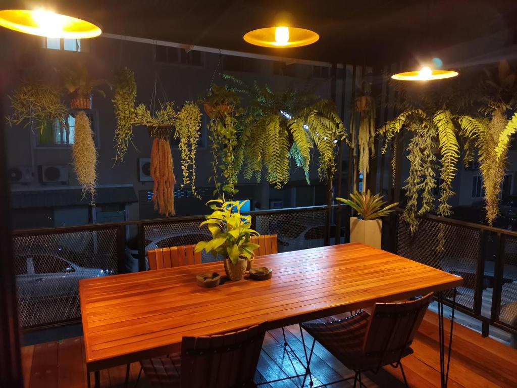 Tree​ for​ rest​ poshtel