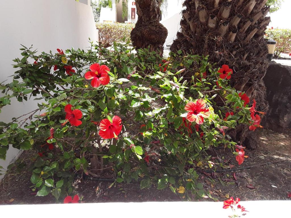 Le farniente - 2