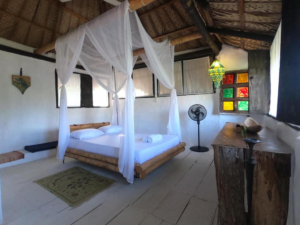 CASA BARCA photo