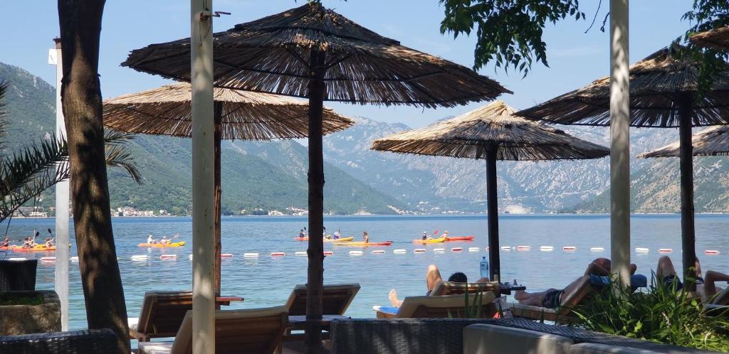 Apartments Azure Adriatic photo